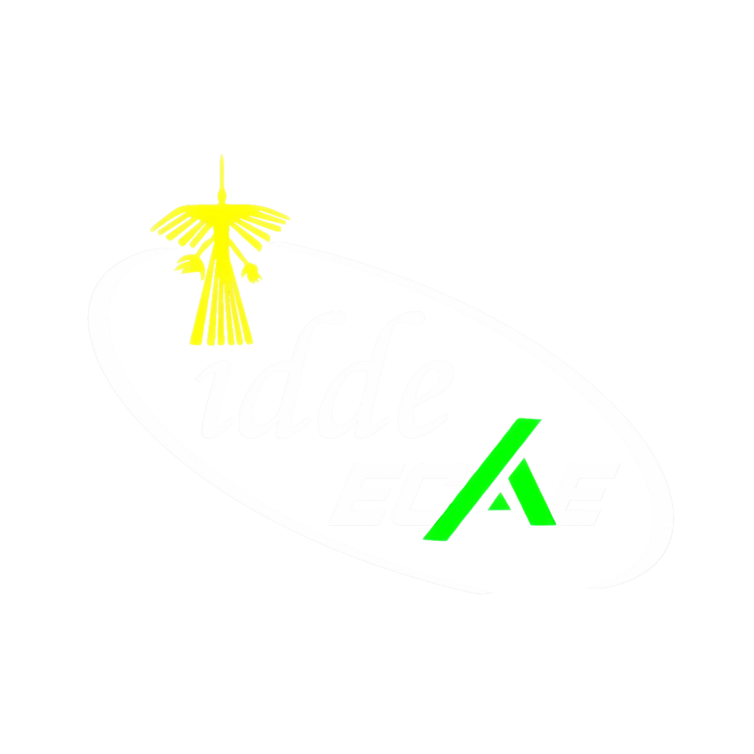 Logo IDDE